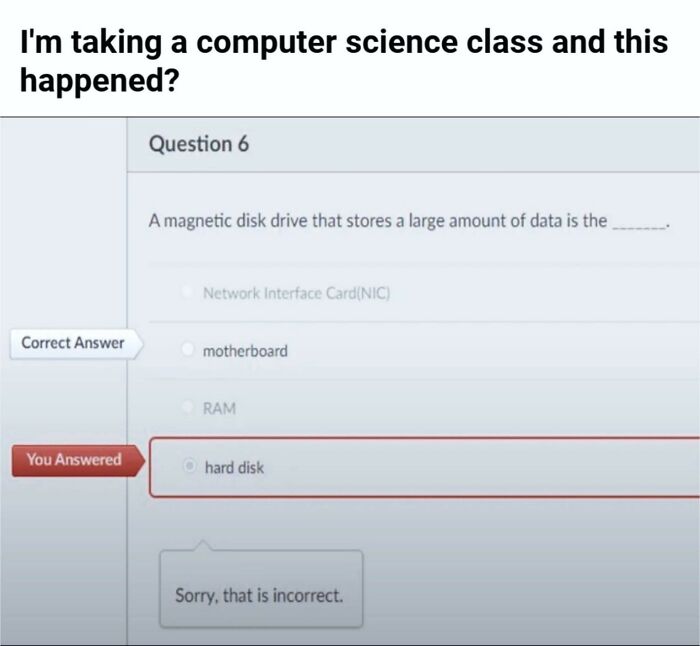 Computer science quiz screenshot showing a humorous overconfident incorrect answer about magnetic disk drives.