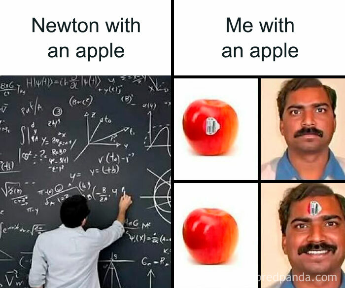 Man solving complex equations on chalkboard versus humorous comparison with apples in funny memes explaining science concepts.