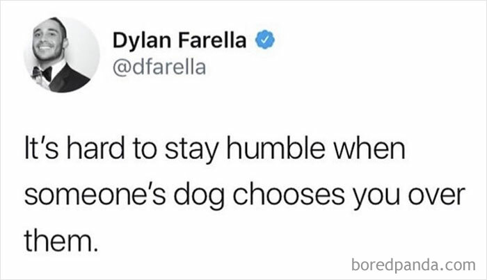 Tweet by Dylan Farella about the relatable feeling when a dog chooses you over its owner, funny dog memes concept.
