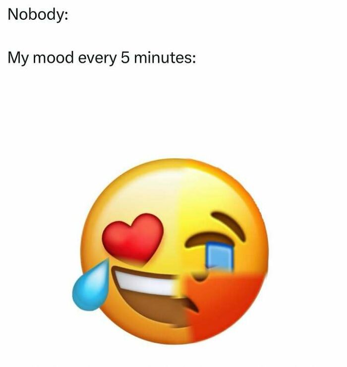 Mixed emotion emoji with heart eye and crying face representing relatable moods in totally random memes.