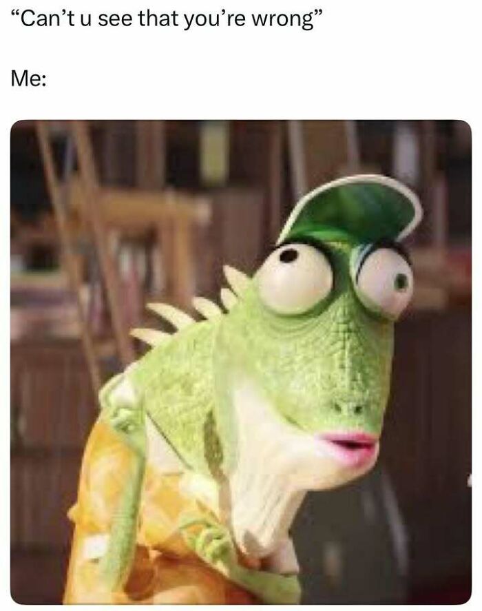 Relatable meme featuring a surprised cartoon lizard reacting to being told they’re wrong in a funny way