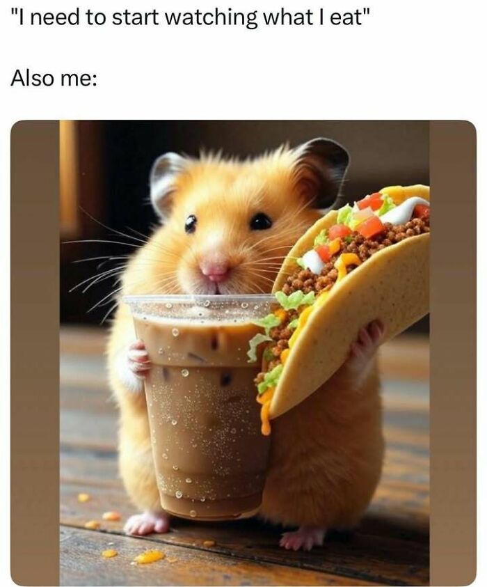 Hamster holding iced coffee and taco, illustrating relatable memes about unhealthy eating habits and cravings.
