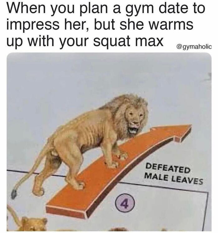 Lion meme showing gym humor about a failed gym date and squat max, related to hilarious gym memes for gym enthusiasts.