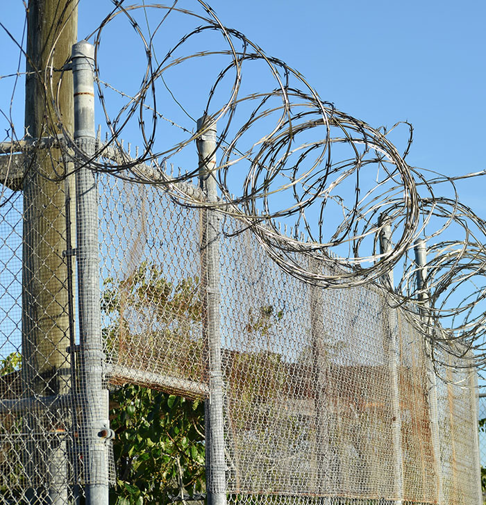 Barbed wire fence under clear sky representing security after landmark domestic violence case win.