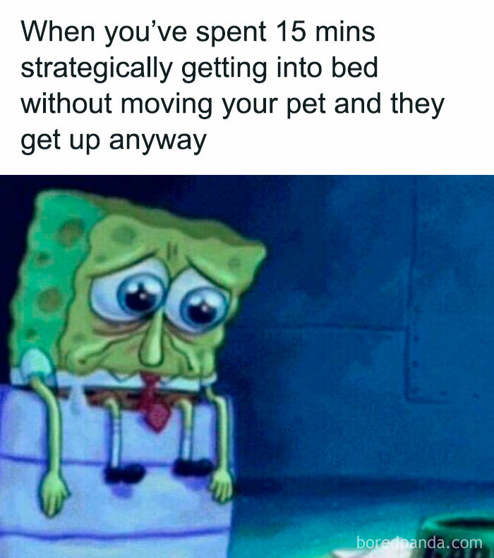 Sad SpongeBob sitting on bed, illustrating frustration in a funny dog memes relatable moment about pets getting up.