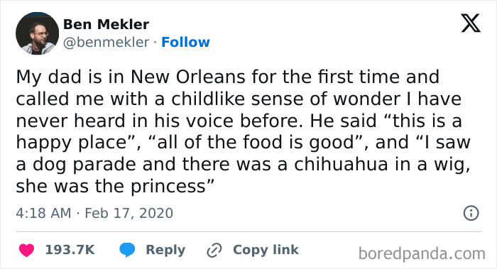 Text post describing a funny dog parade with a chihuahua in a wig, capturing relatable dog memes humor.