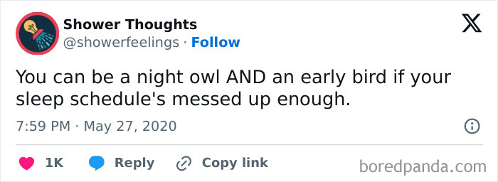 Meme text about being a night owl and early bird due to a messed up sleep schedule relatable to those around 30.