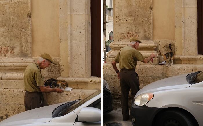 Elderly man feeding a cat by a stone wall, showcasing a rare moment for breathtaking animal photos on Instagram.