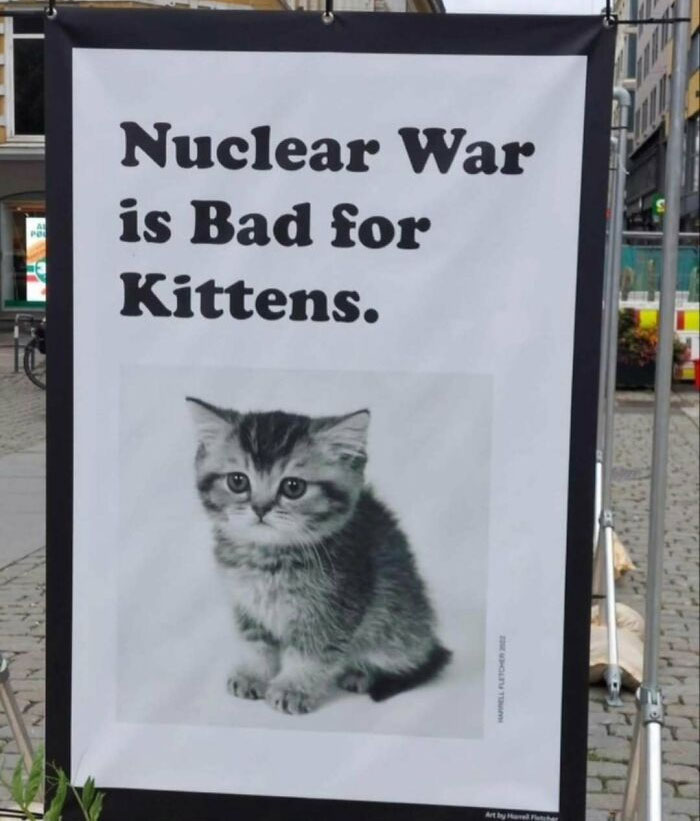 Sign with a black and white kitten image and text saying nuclear war is bad for kittens, illustrating nerdy and weird memes.