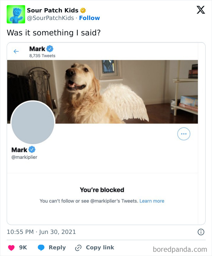 Social media post showing a humorous blocked message with a dog's profile featuring angel wings.