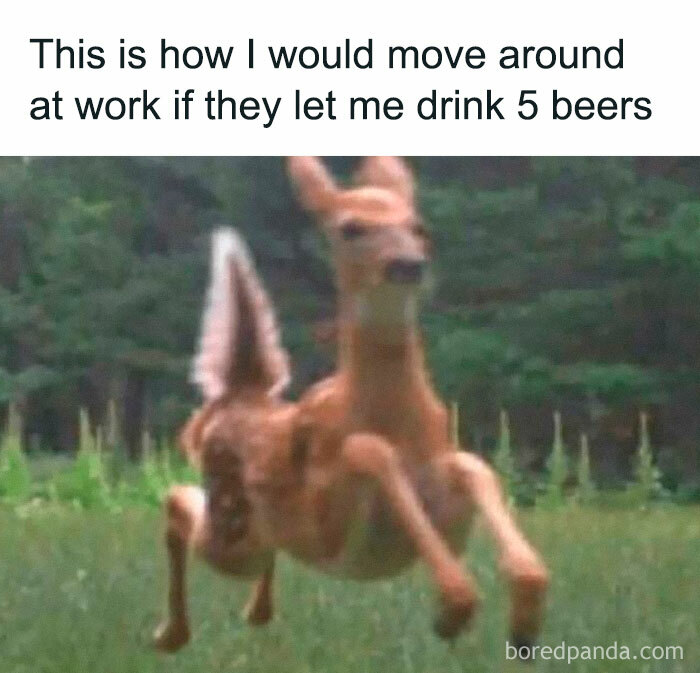Blurry image of a deer mid-jump in a grassy field, illustrating a nerdy and very weird meme about work and beer.