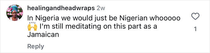Comment on TikTok post discussing cultural identity and reflection after a 2YO toddler realizes she&rsquo;s Black at daycare.