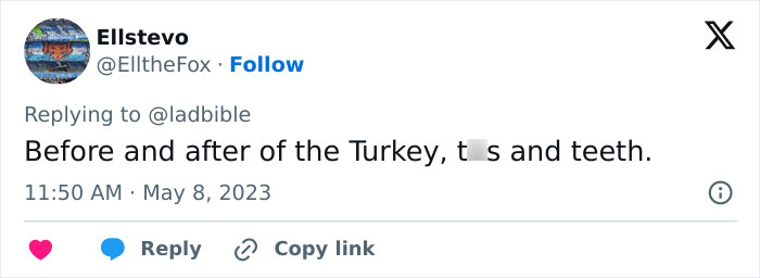 Screenshot of a social media post showing a reply with a comment about before and after of the Turkey, tits, and teeth. - 17