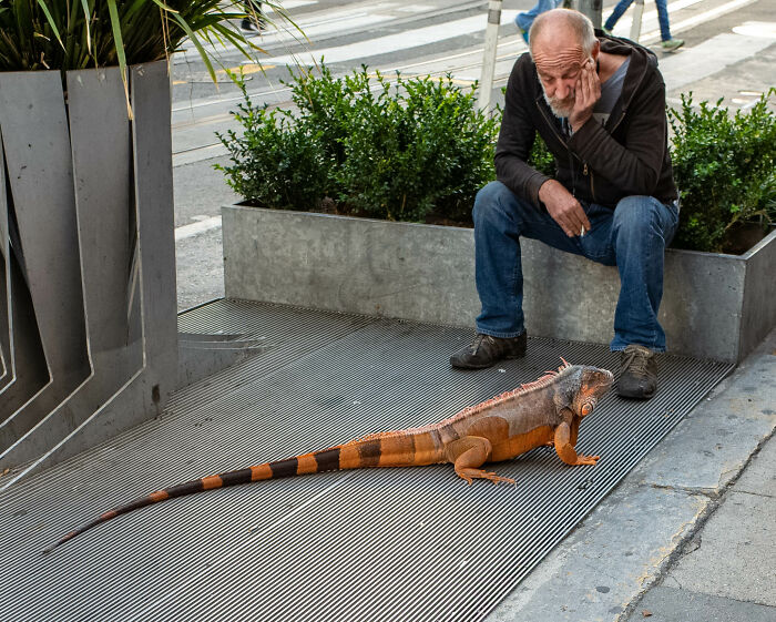 Stories From The Street