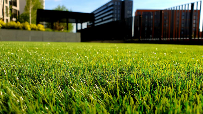 Close-up of a bright green lawn in a modern backyard highlighting oldschool home trends millennials dislike.