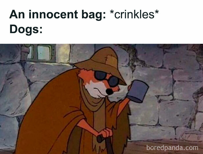 Funny dog meme showing a fox in disguise reacting to an innocent bag crinkling, capturing relatable dog behavior.