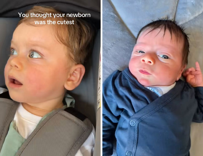 Two babies side by side, illustrating postpartum hormones and new trend of women calling out their newborn perceptions.