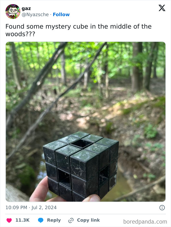 Hand holding a creepy black mystery cube found in the forest among trees and foliage.