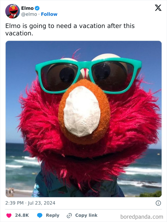 Elmo puppet wearing teal sunglasses at the beach, representing funny things posted by official social media accounts.