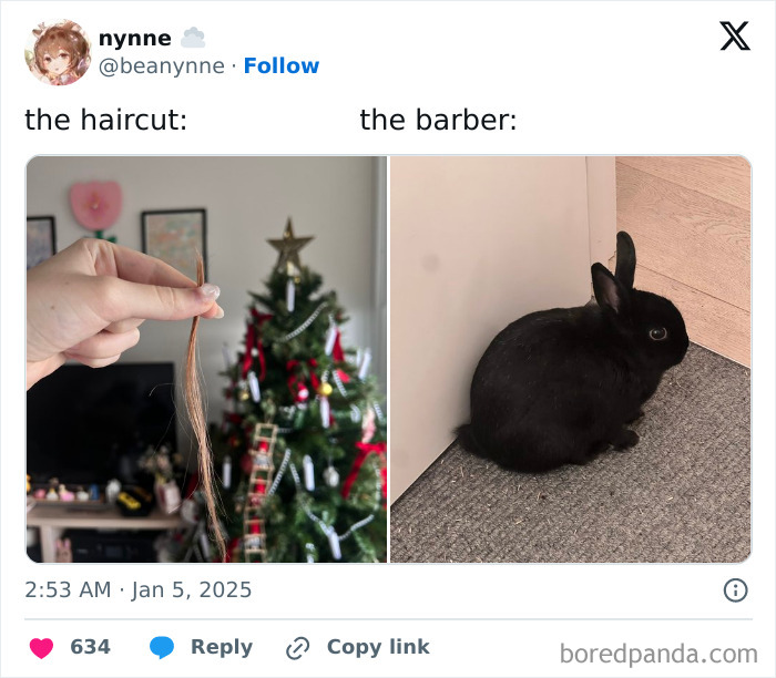 Hand holding a cut strand of hair beside a black rabbit sitting on the floor, showcasing chaotic pets as a menace.