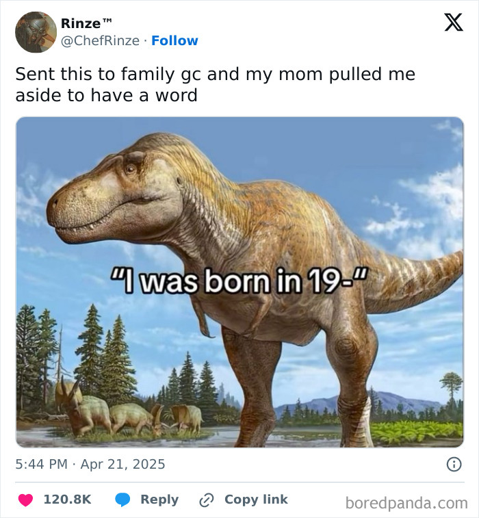Tyrannosaurus rex meme with text about birth year, included in a collection of random and chaotic memes that are very funny.