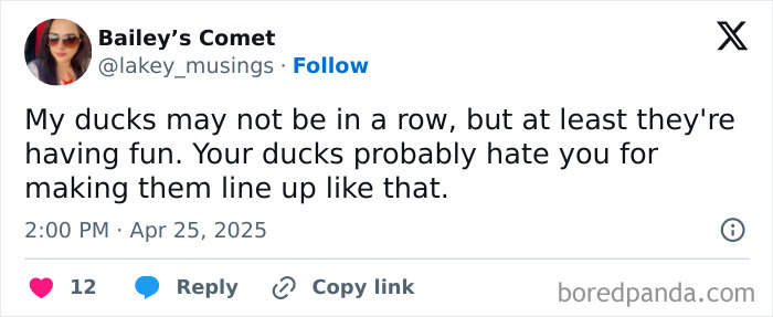 Tweet screenshot from Bailey’s Comet humorously discussing ducks not being in a row, relatable meme for anyone around 30.