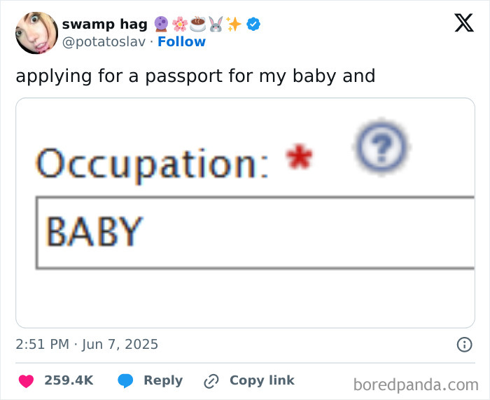 Twitter post showing a humorous passport application with the occupation listed as baby, reflecting positivity and lightheartedness.