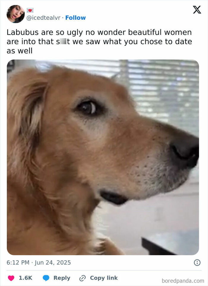 Tweet showing a dog with a suspicious side-eye look, part of the Labubu doll memes sparking hilarious online reactions.