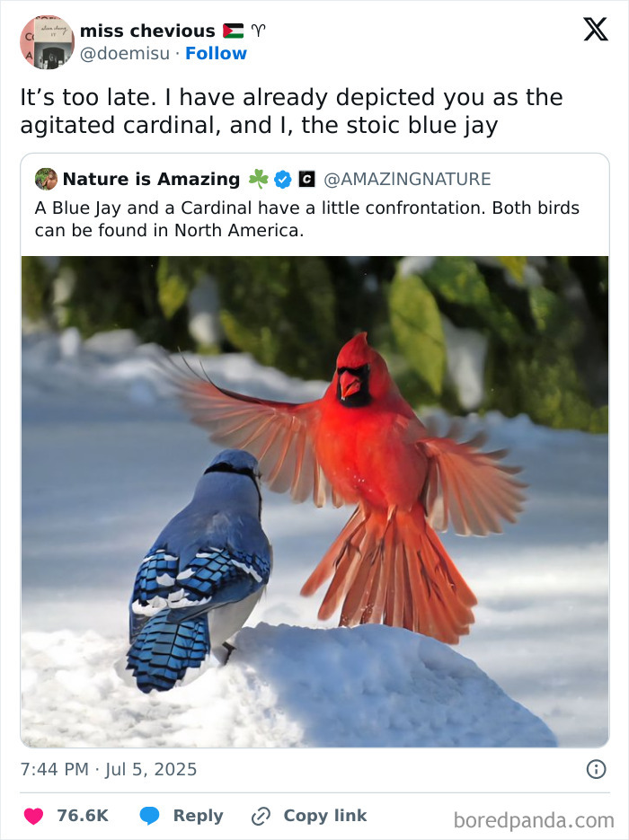 Tweet with a humorous caption featuring birds in a snowy setting, part of hilarious tweets from July collection.