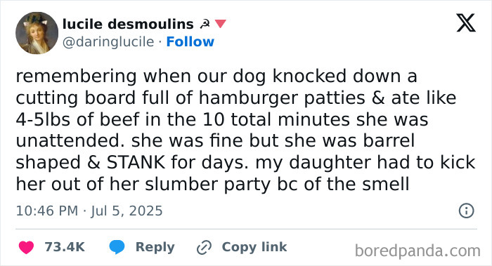 Funny tweet about a dog eating hamburger patties and causing a memorable family moment in July.