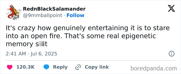 Screenshot of a hilarious tweet from July showing entertaining content that slapped harder than a mosquito bite.