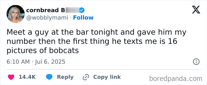 Screenshot of a hilarious tweet about texting 16 pictures of bobcats, showcasing funny tweets from July.