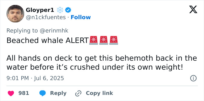 Screenshot of a social media post featuring a fatphobic comment about a plus-size model clapped back at online.
