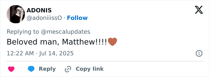 Matthew McConaughey praised as gentleman for kind gesture to British royalty during Wimbledon final event.