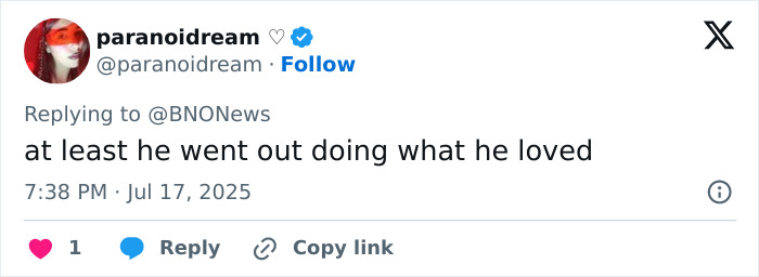 Tweet from user @paranoidream expressing sentiment about daredevil skydiver’s final moments before mid-air crash. Tweet from user @paranoidream expressing sentiment about daredevil skydiver’s final moments before mid-air crash.