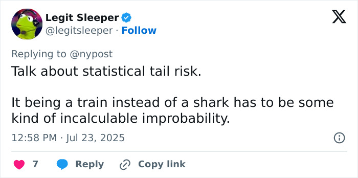 Tweet discussing the improbability of a surf instructor having an arm torn off after being struck by a train.
