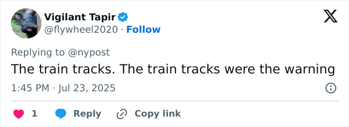 Tweet text from user Vigilant Tapir responding to news about a train accident involving a surf instructor discussing train tracks.