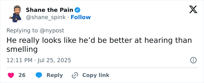 Screenshot of a tweet by Shane the Pain commenting on a viral serial pervert arrested again for sniffing a woman’s behind in public. Screenshot of a tweet by Shane the Pain commenting on a viral serial pervert arrested again for sniffing a woman’s behind in public.