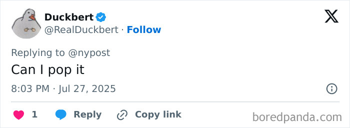 Tweet from Duckbert on social media asking if they can pop it, referencing woman with world&rsquo;s biggest lips before surgeries.