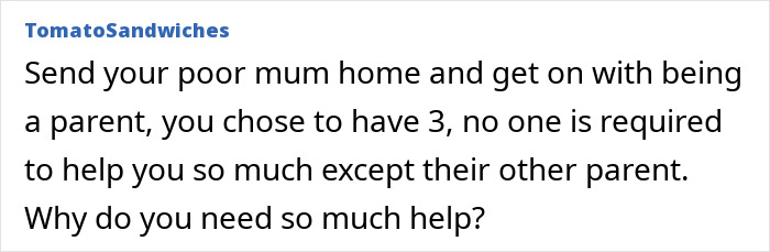 Comment from user TomatoSandwiches questioning the need for so much help with parenting and babysitting duties. - 32