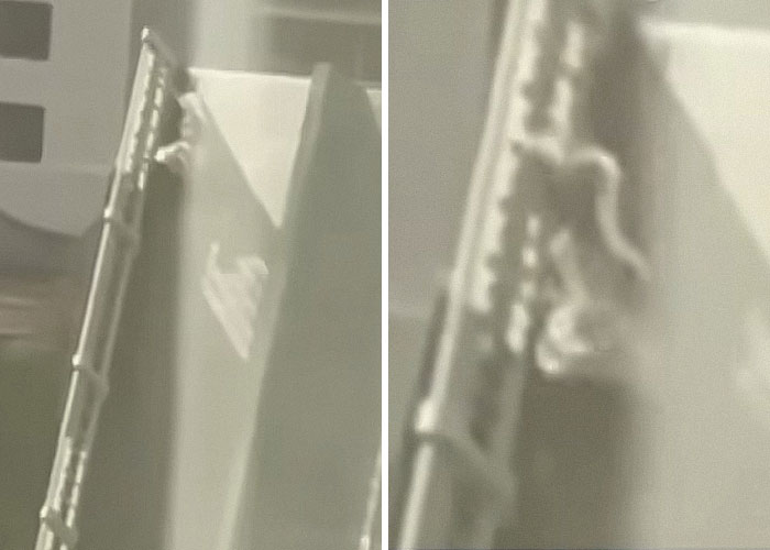 Woman clinging to rising drawbridge railing after being warned not to cross, surviving a dangerous situation. Woman clinging to rising drawbridge railing after being warned not to cross, surviving a dangerous situation.