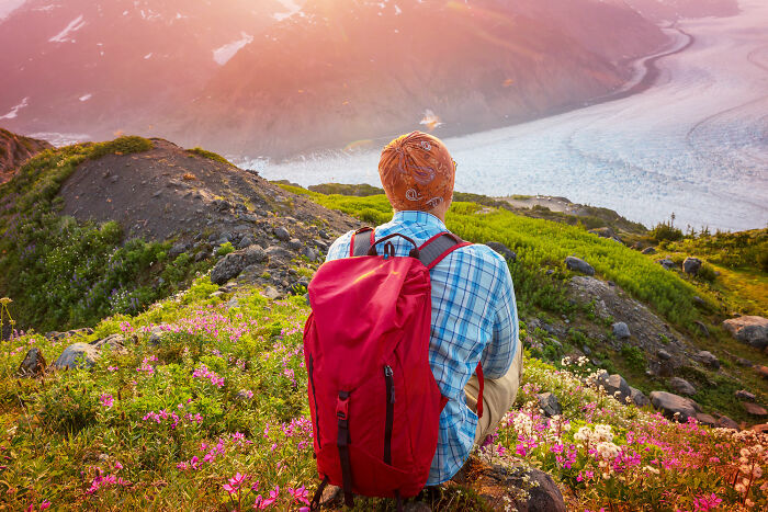 Person with red backpack sitting on a mountain surrounded by wildflowers, reflecting on running away from home stories. - 7