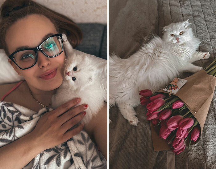 Woman holding a fluffy white kitten close to her face and the same cat grown lying next to a bouquet of pink tulips.