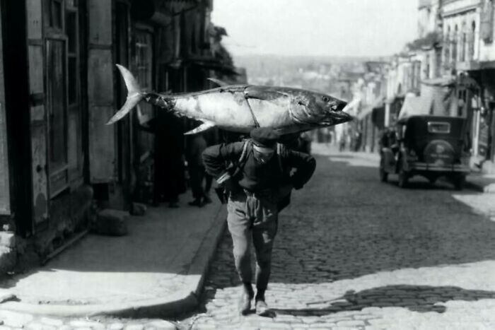 Man carrying a large fish on his shoulders down a cobblestone street in a vintage black and white animal photo.