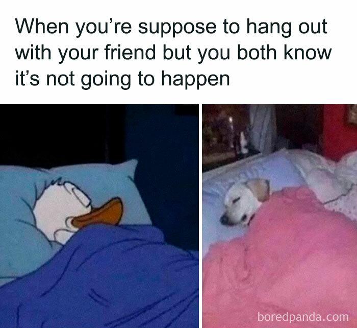 Relatable friendship meme showing a duck and a dog in bed, humorously depicting plans that never happen.