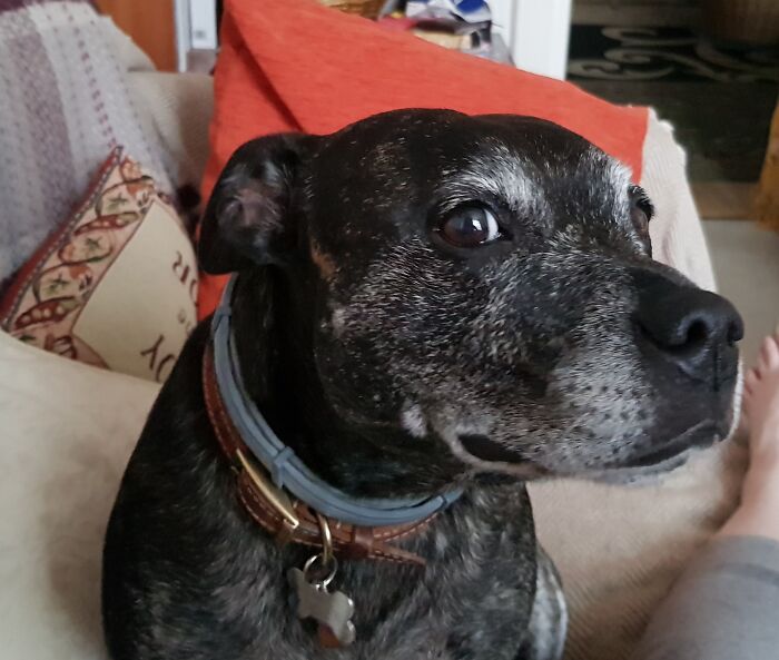 Doctor Lola - I'd Been In Hospital For 9 Days And I Don't Think She Could Quite Believe I Was Back Home