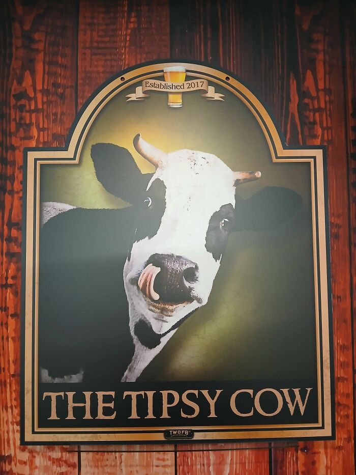 A Crazy Drunk Looking Cow