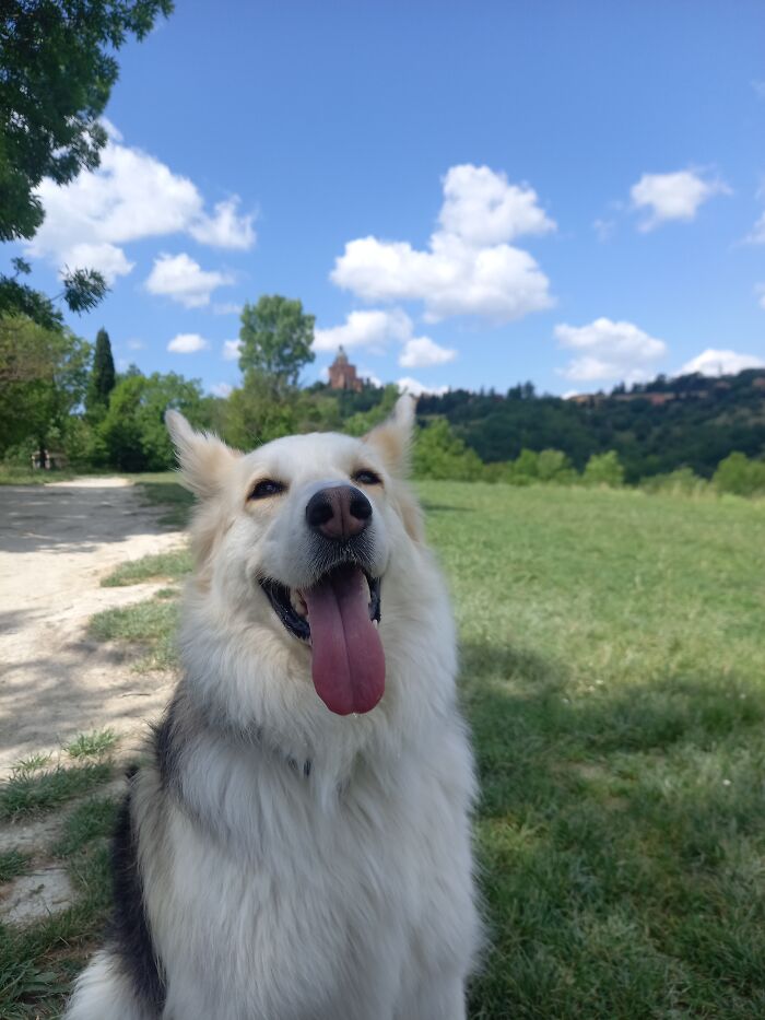 Tzuki, Happy Girl On A Hike!