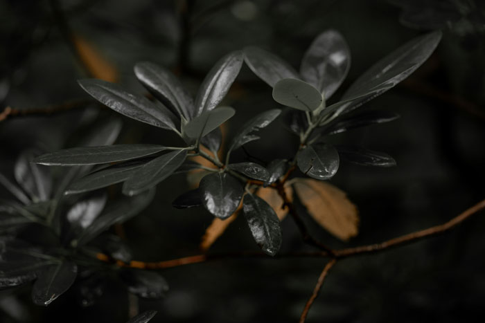 “No One Even Comes To My House”: 50 Oldschool Home Trends Millennials Are Absolutely Over