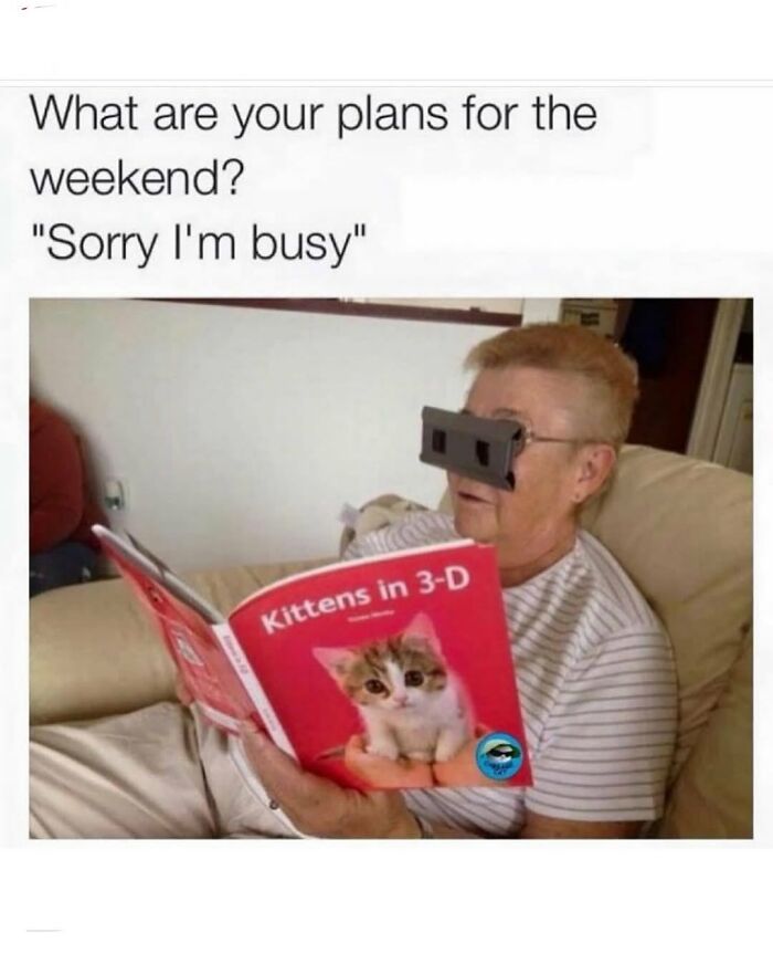 Elderly person reading a funny animal meme book titled Kittens in 3-D while wearing 3-D glasses at home.